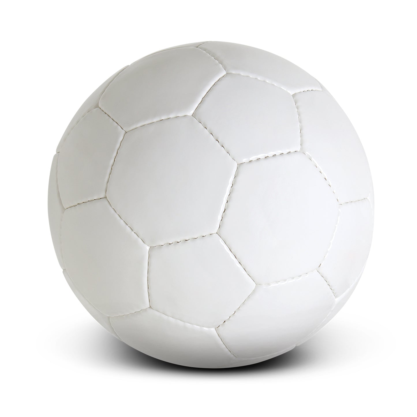 Size 5 Soccer Ball Pro
