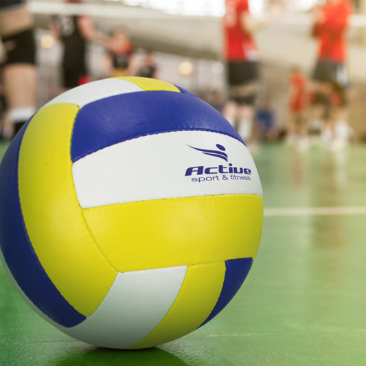 Size 5 Volleyball Pro