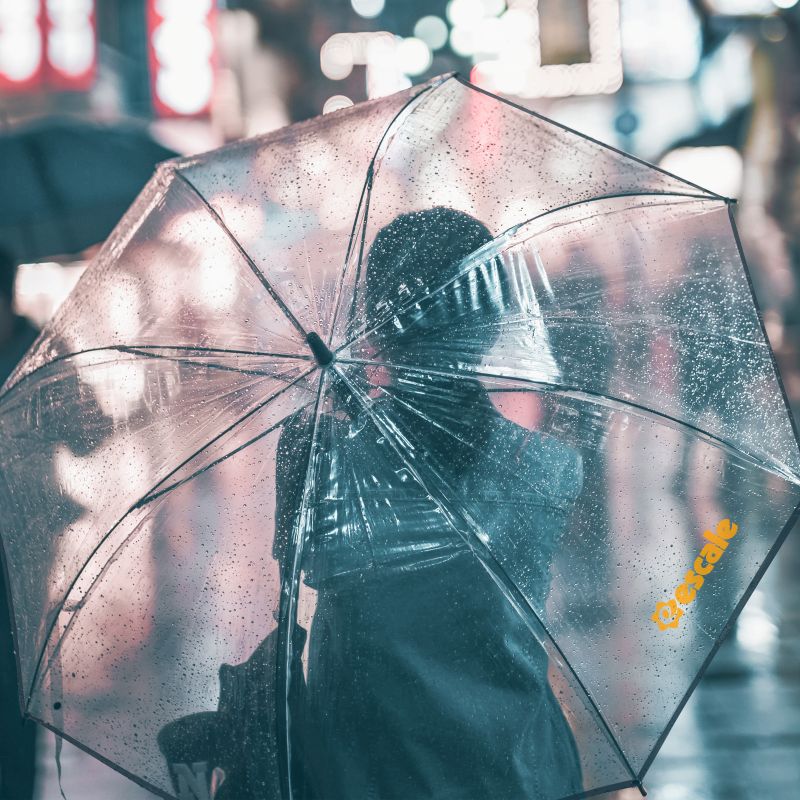 Clear Umbrella 23”