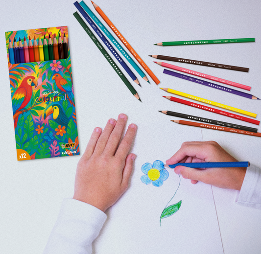 BIC® Kids Evolution® Colouring set x 12 units - Box