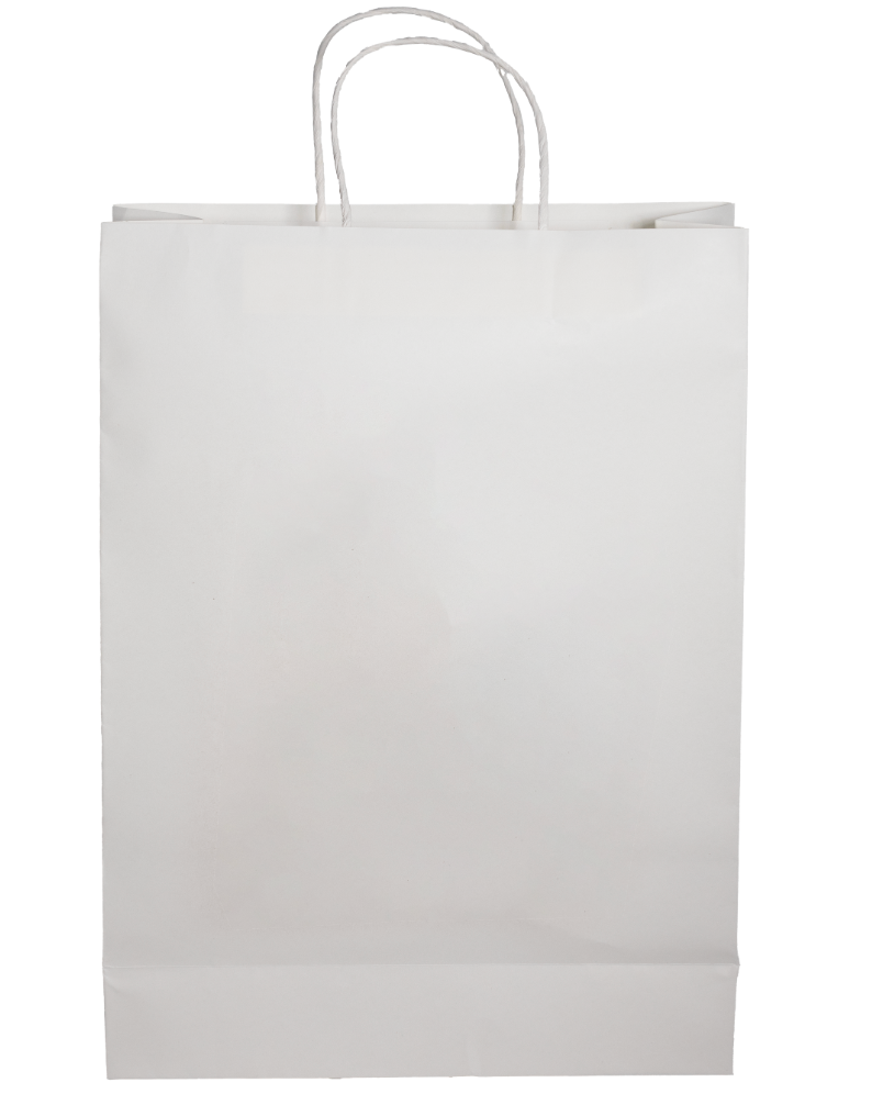 Paper Shopping Bag