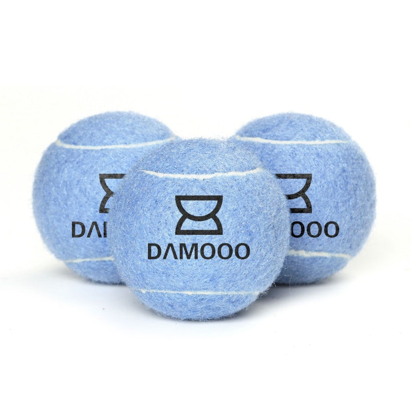 Dog Fetch Tennis Ball