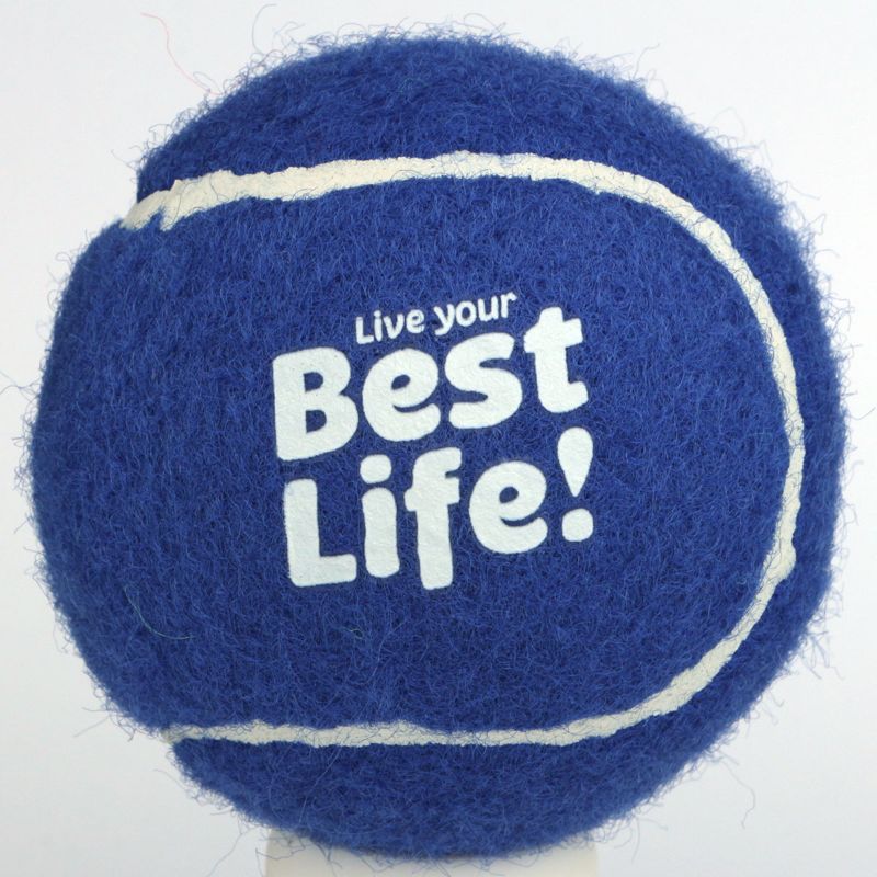 Dog Fetch Tennis Ball