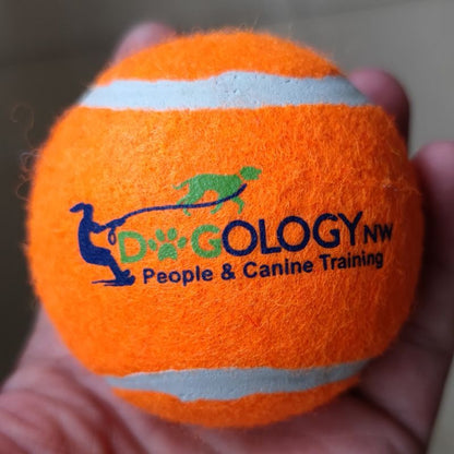 Dog Fetch Tennis Ball