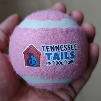 Dog Fetch Tennis Ball