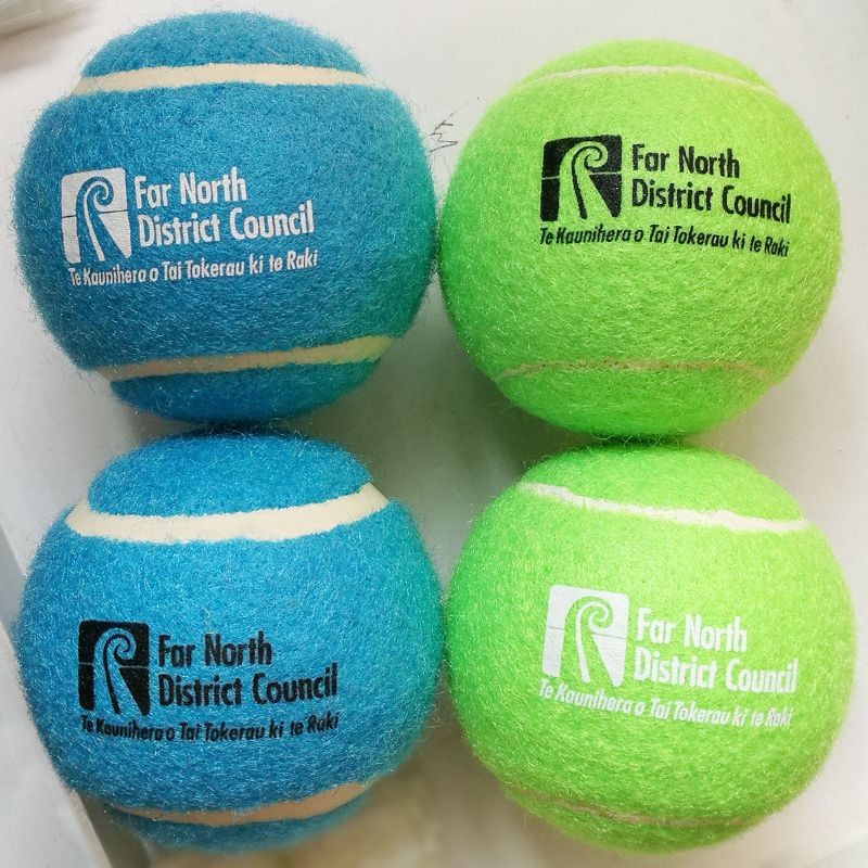 Dog Fetch Tennis Ball