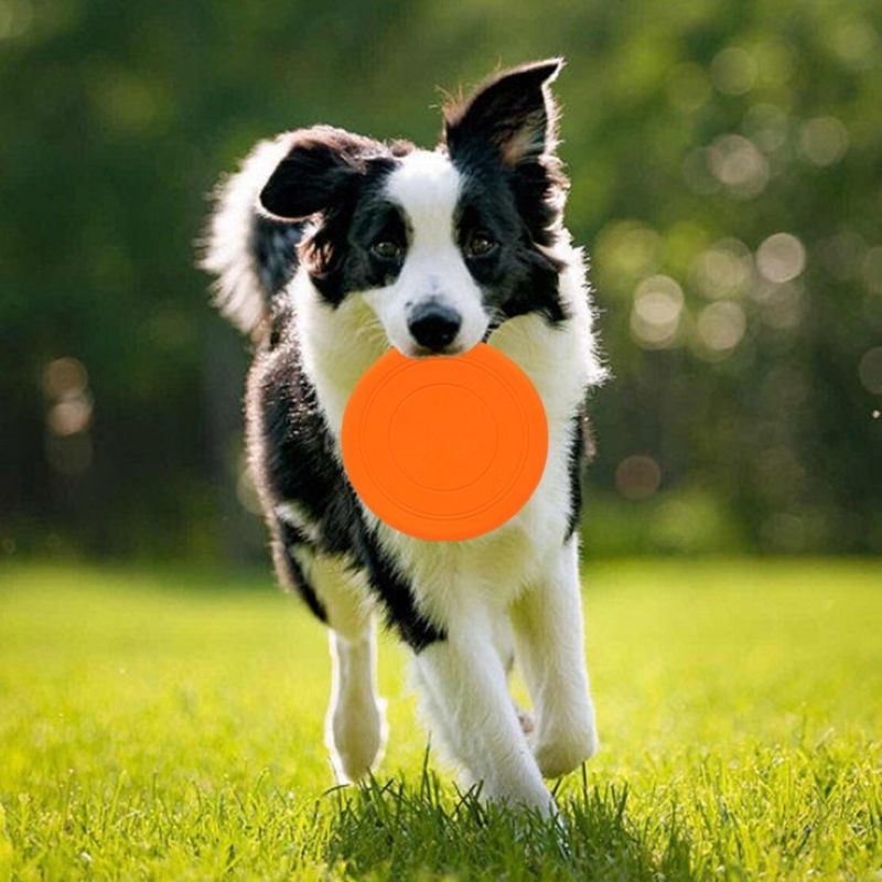 Silicone Frisbee