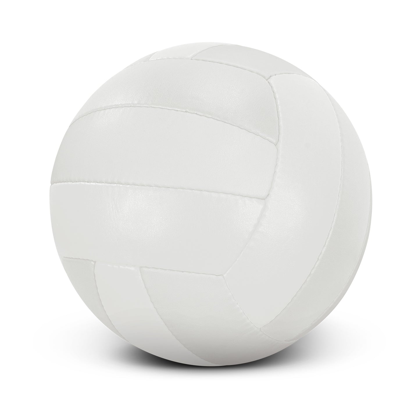 Size 5 Volleyball Pro