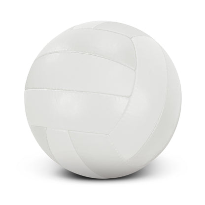Size 5 Volleyball Pro
