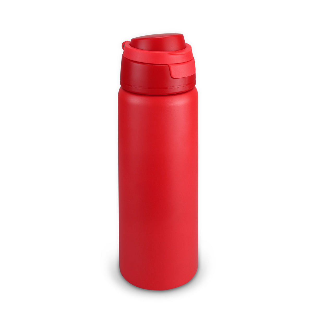 Spyro Vacuum Bottle