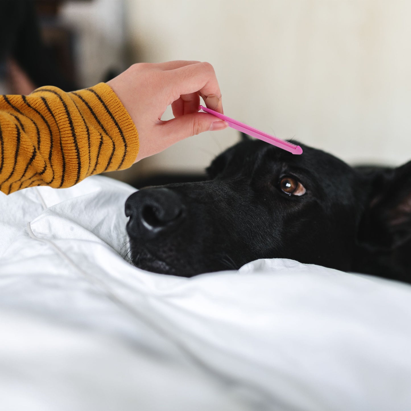 Pet Flea Combs