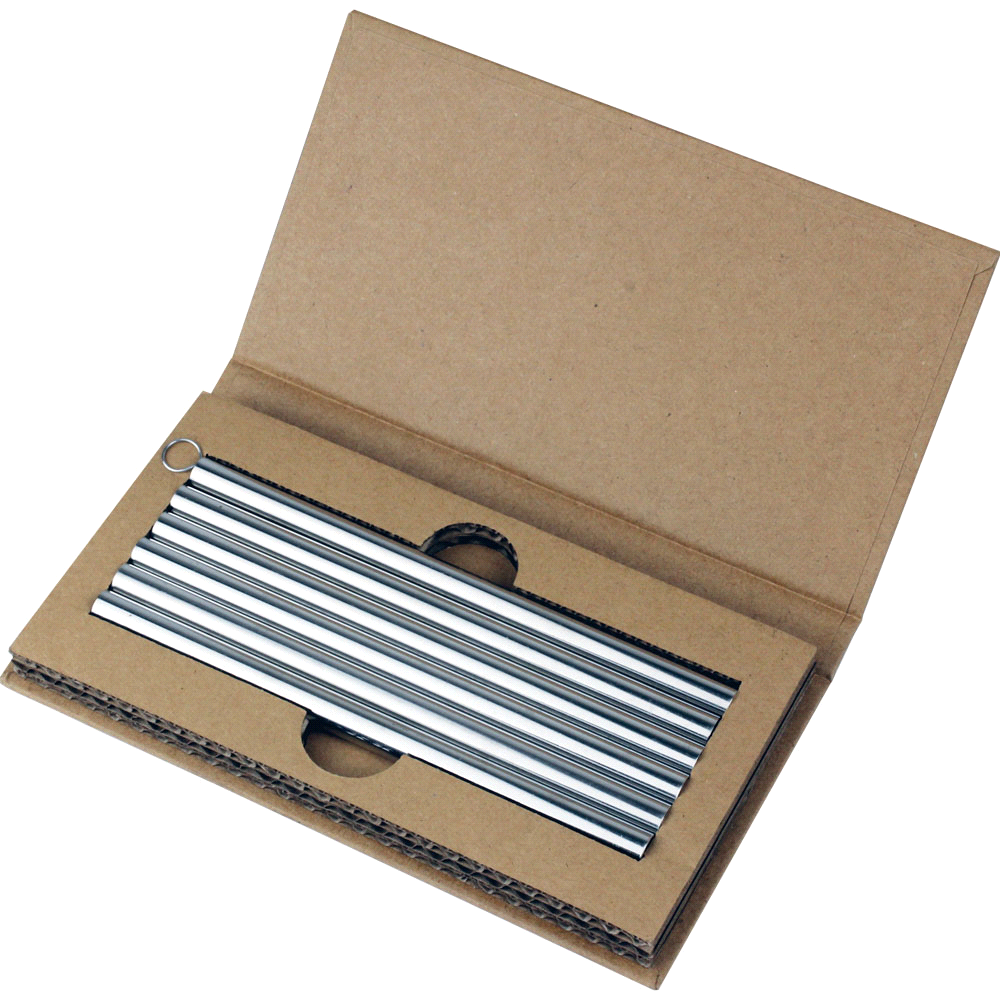 Stainless Steel Straws - Set of 6