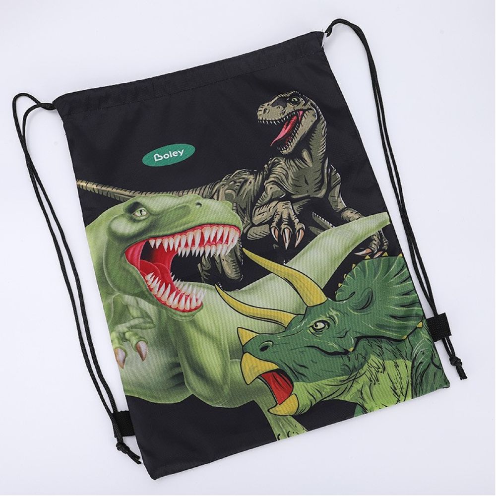 Large Drawstring Backpack