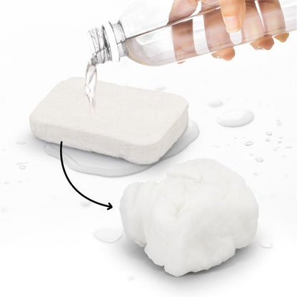 Compressed Towel