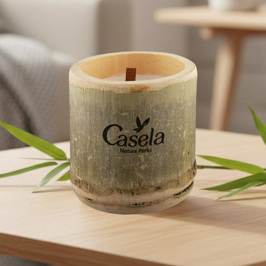 Bamboo Candle