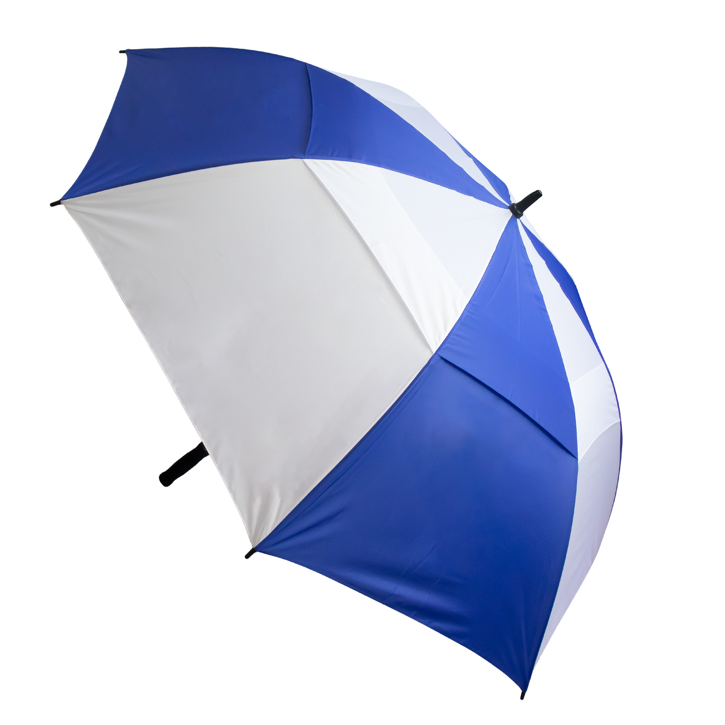 Stormy Umbrella