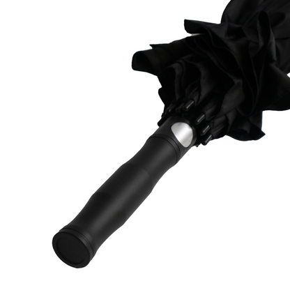 Stormy Umbrella