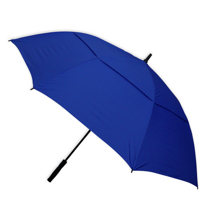 Stormy Umbrella