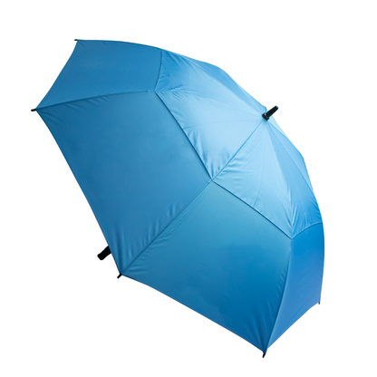Stormy Umbrella