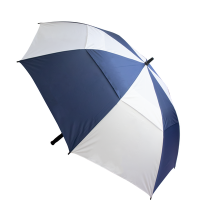 Stormy Umbrella