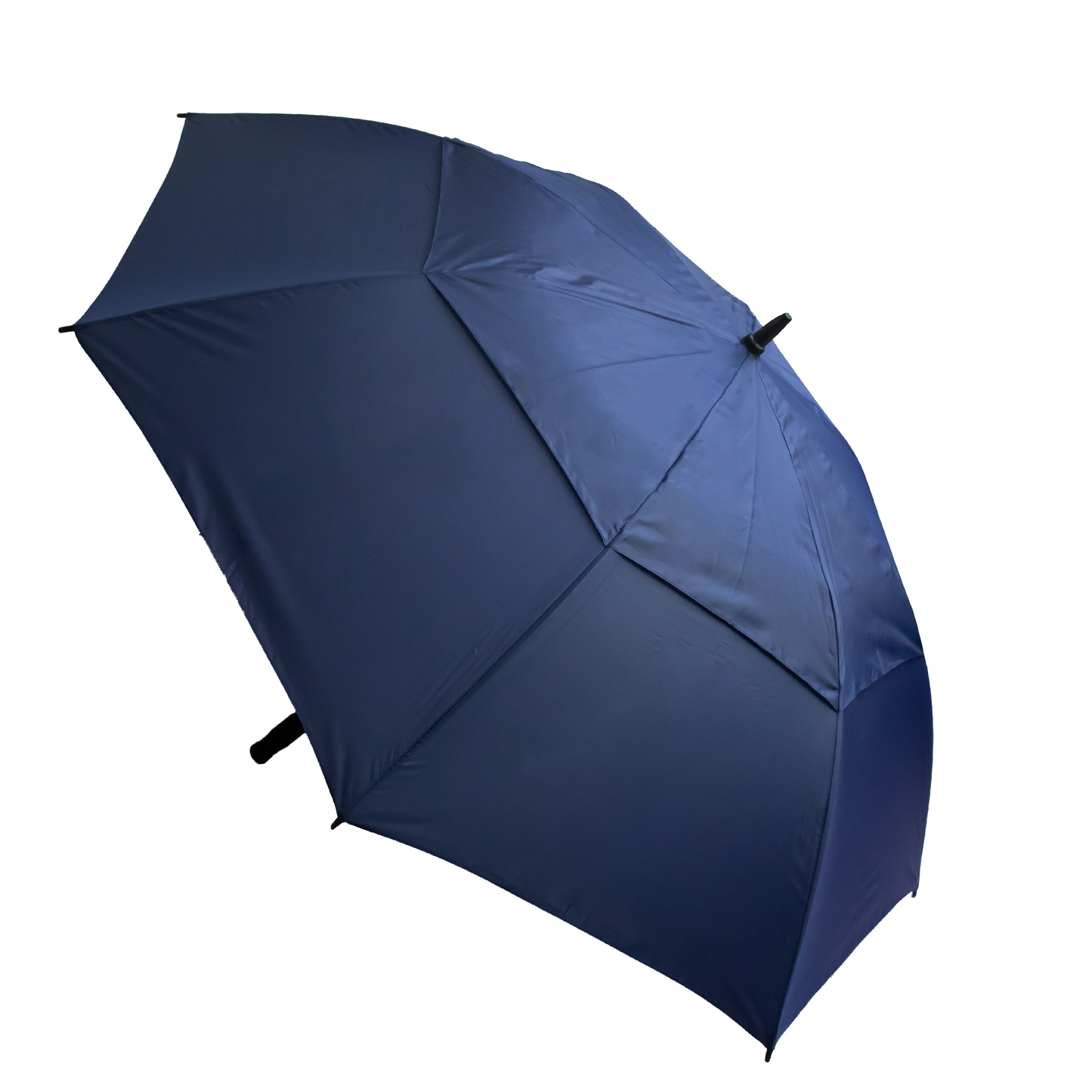 Stormy Umbrella