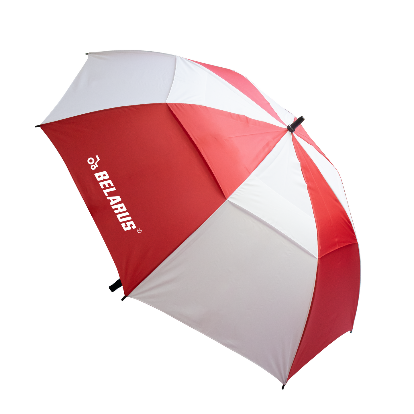 Stormy Umbrella