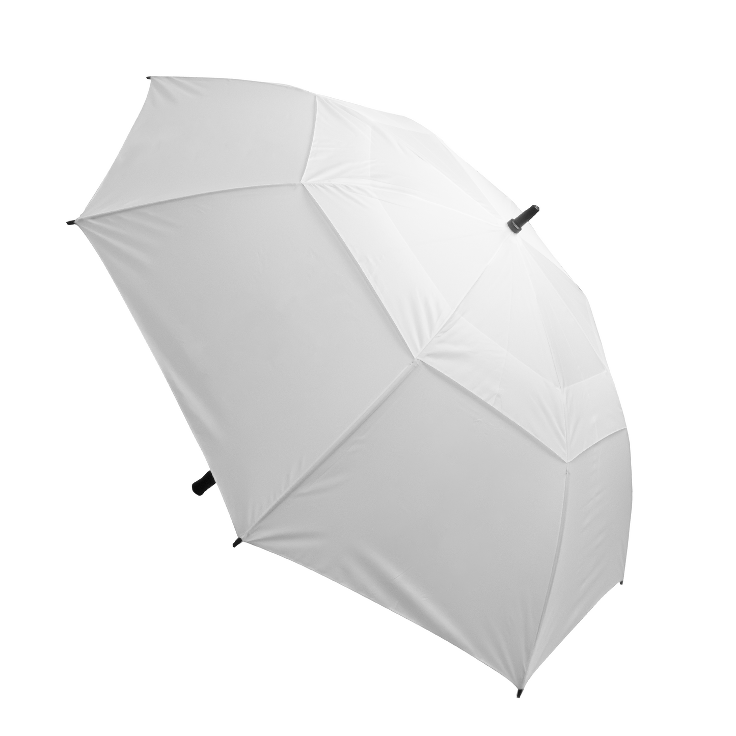 Stormy Umbrella