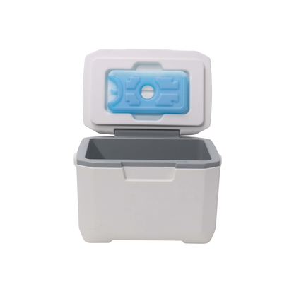 6L Cooler Box