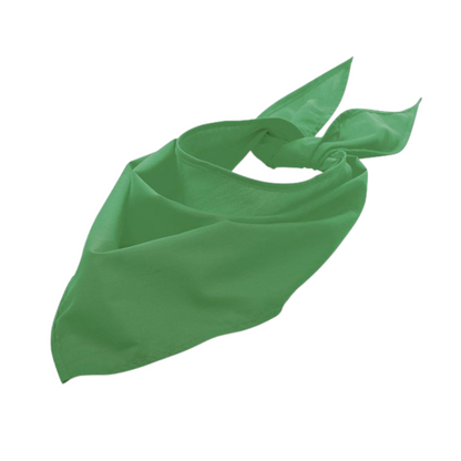 Twistal Triangular Bandana