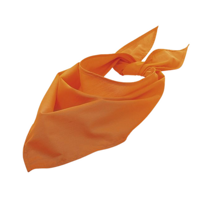 Twistal Triangular Bandana