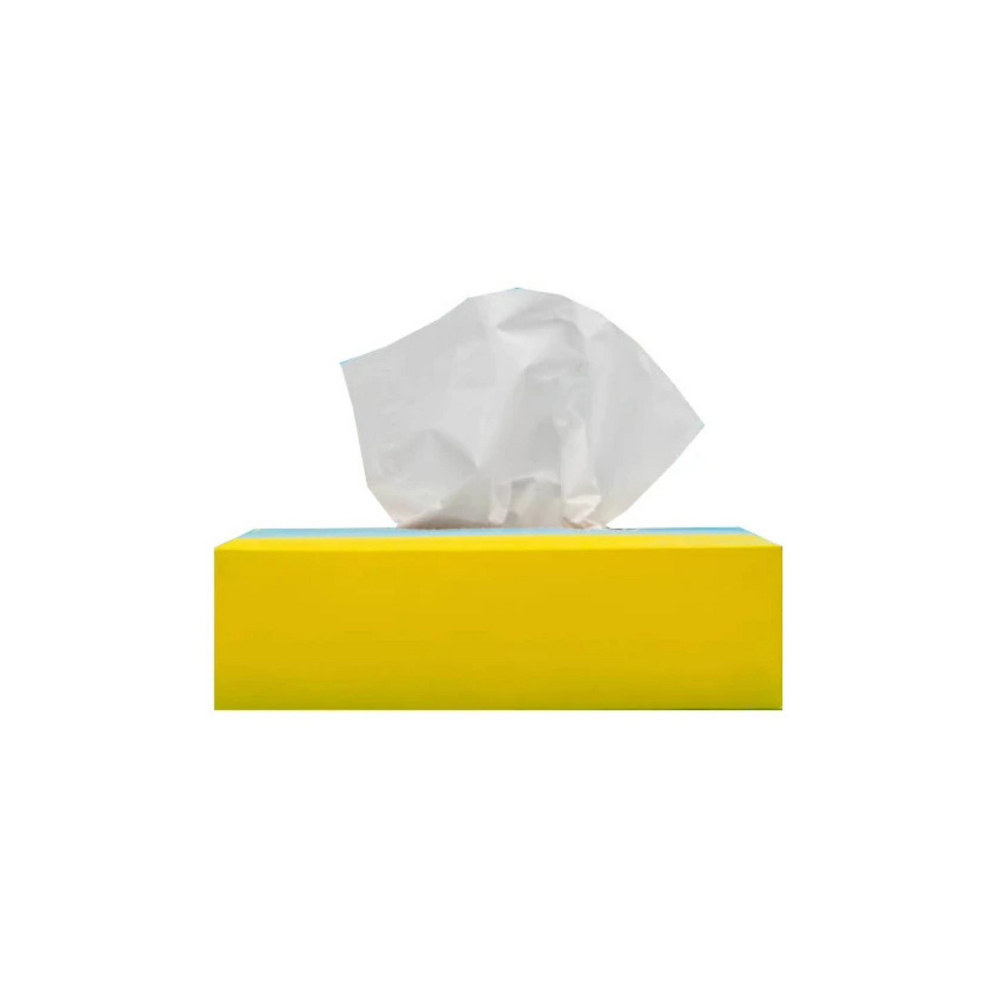 Rectangular Tissue Box