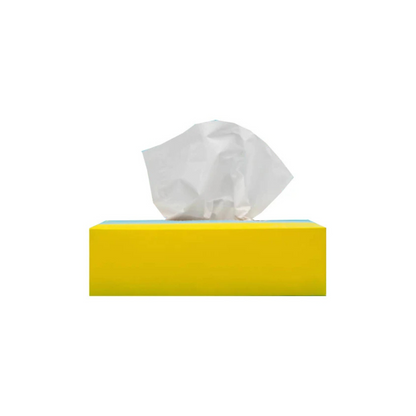 Rectangular Tissue Box
