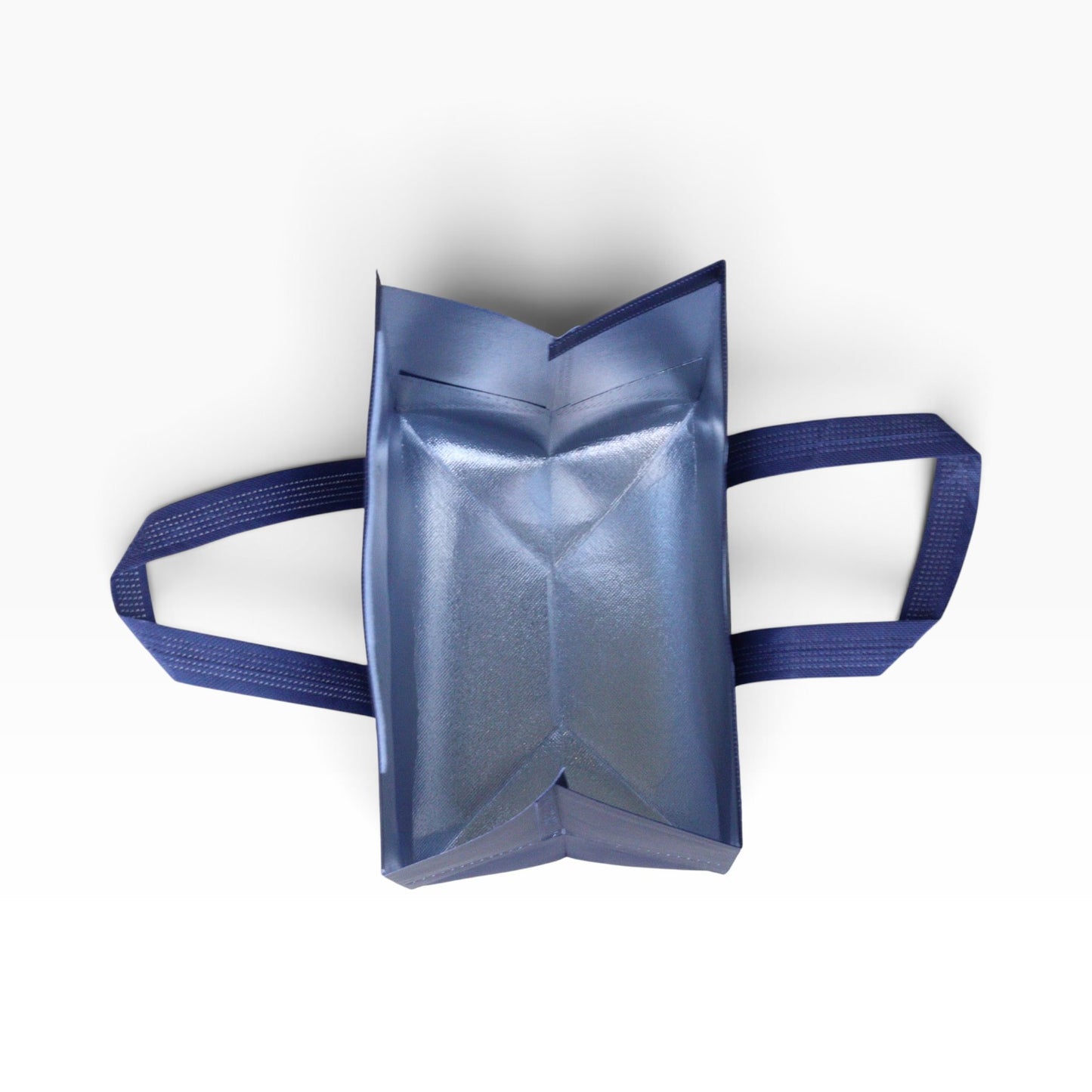 8L Insulated Reusable Bag