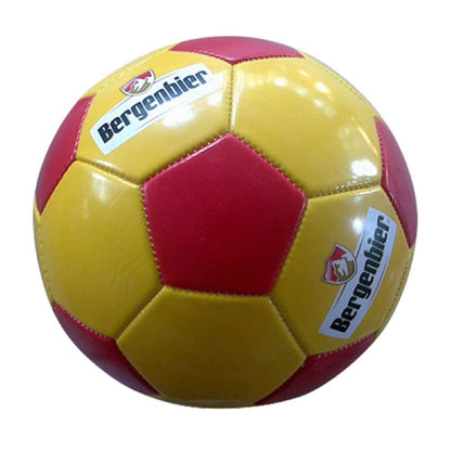 Size 3 Soccer Ball - Training Grade