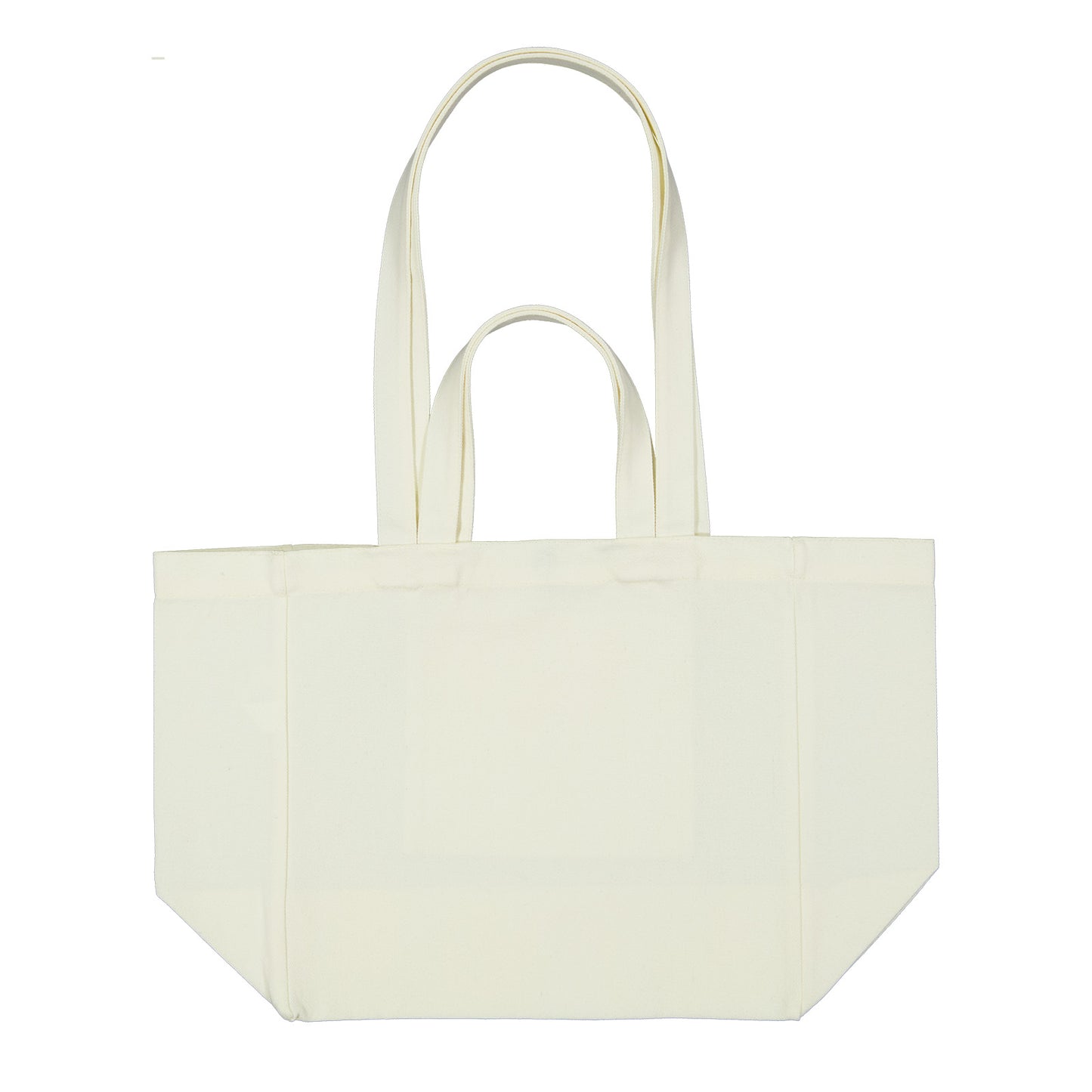 Splendid Canvas Bag