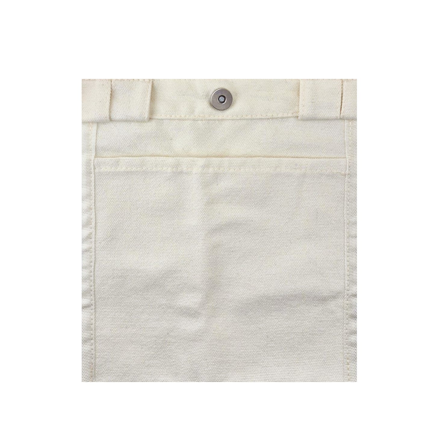 Splendid Canvas Bag