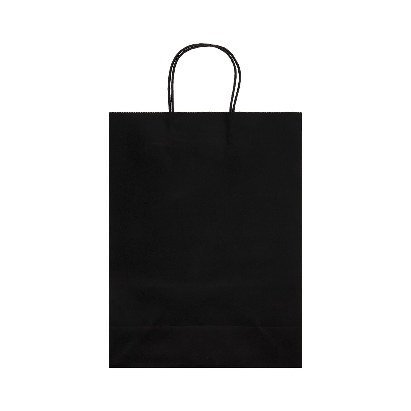 Express Paper Bag Large