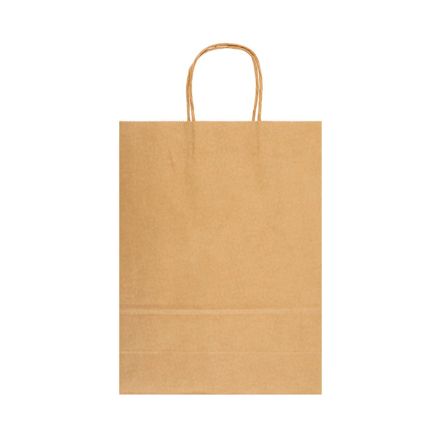 Express Paper Bag Large