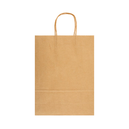 Express Paper Bag Large