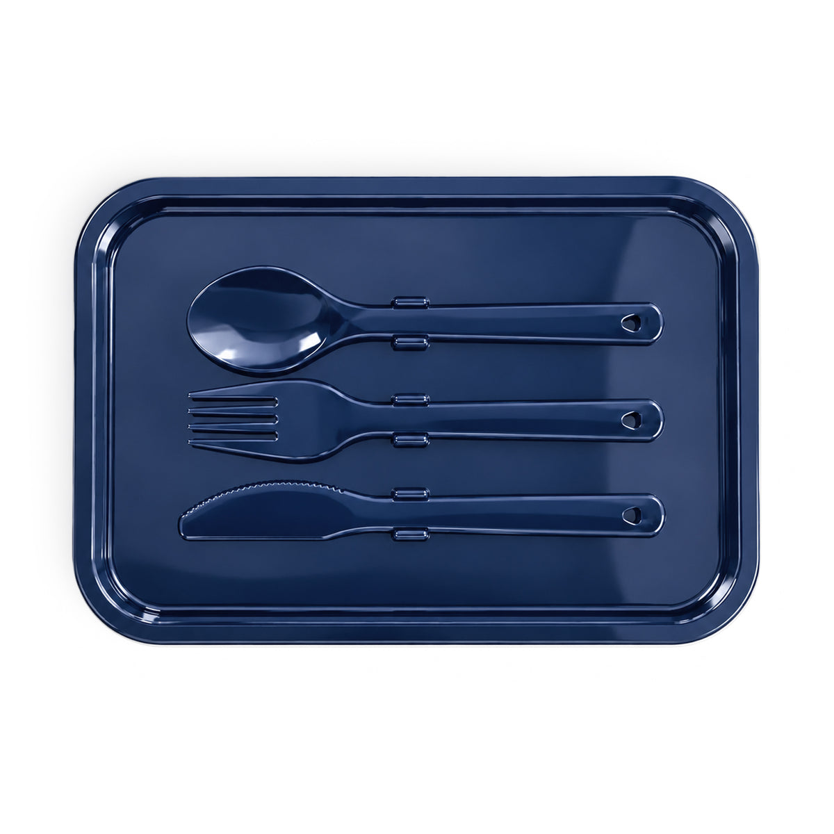 Custom Meridian Double Tray Lunchbox