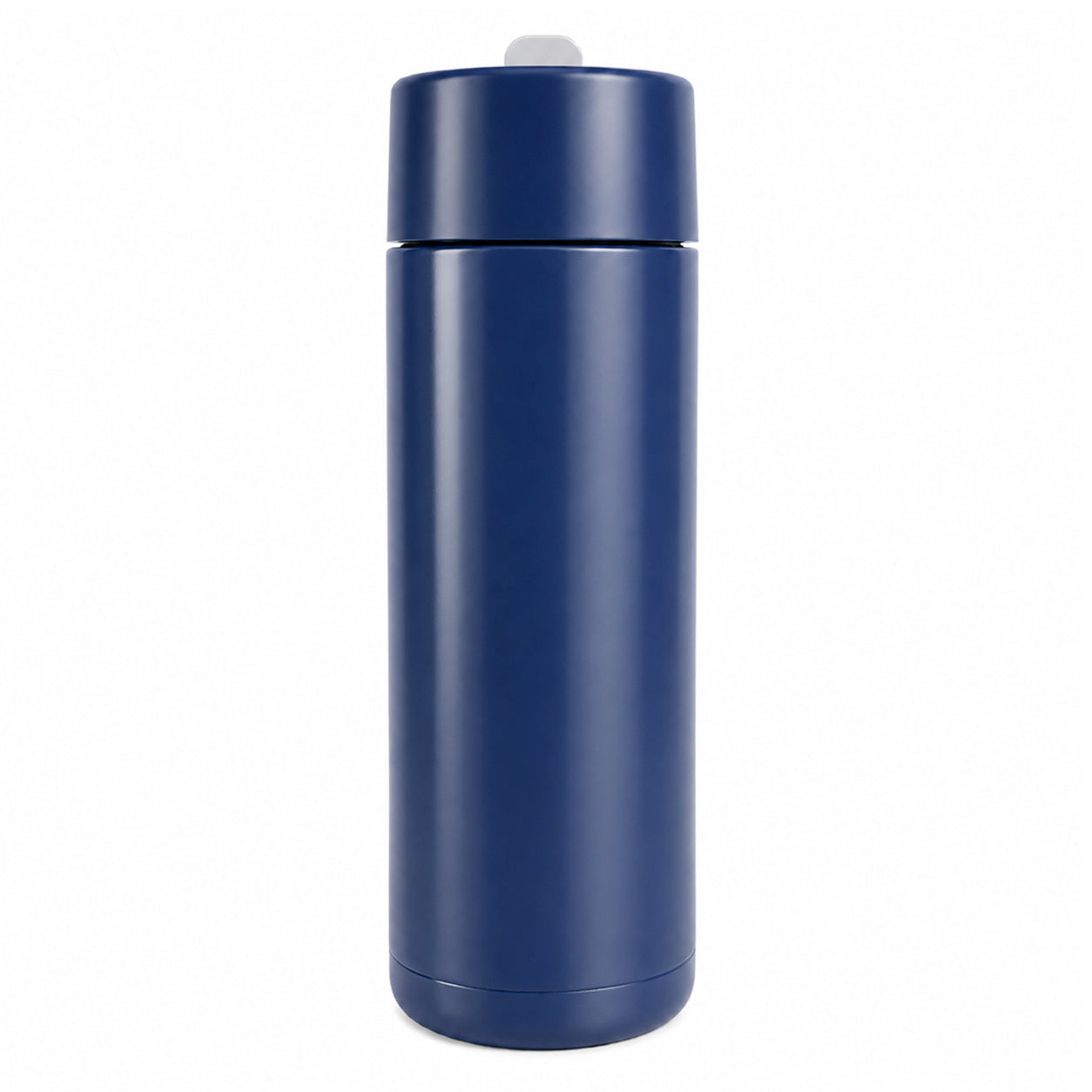Zara 600ml Steel Bottle