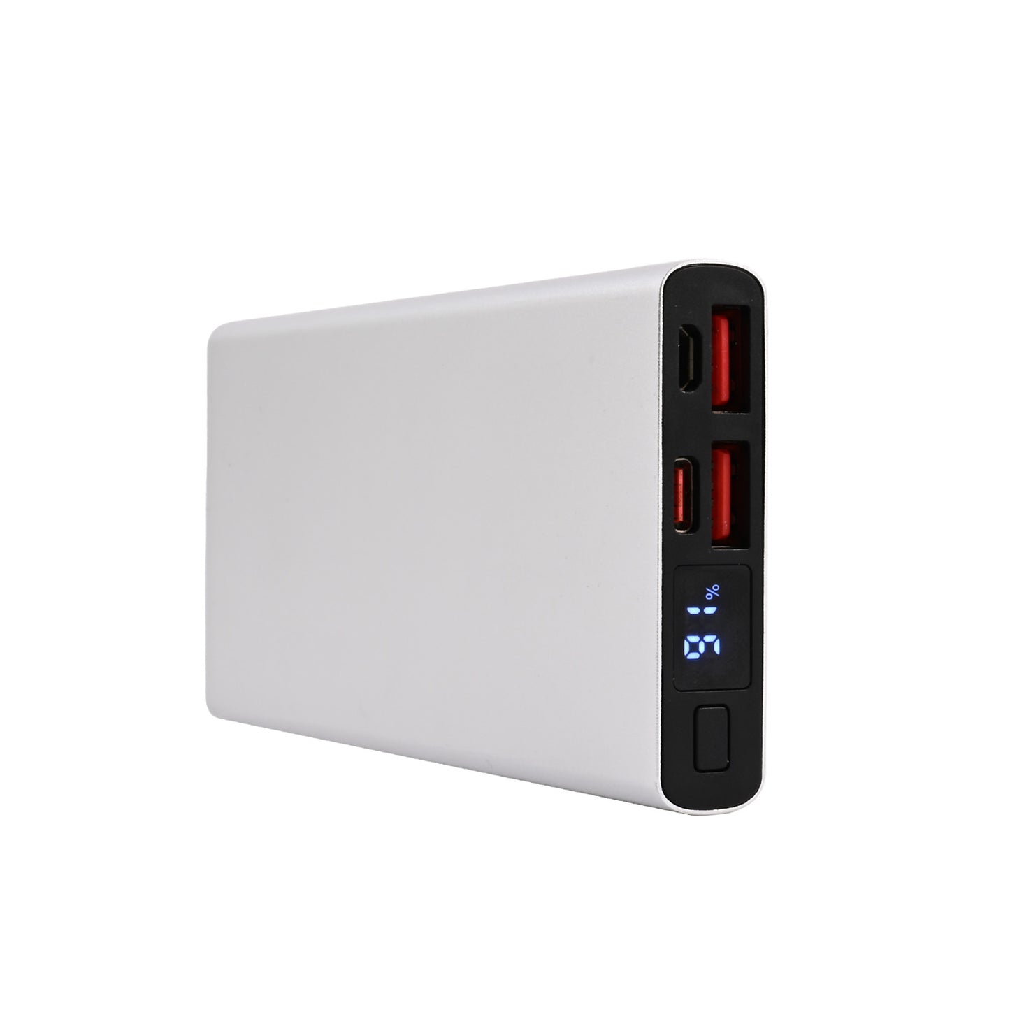 Leopard Power Bank