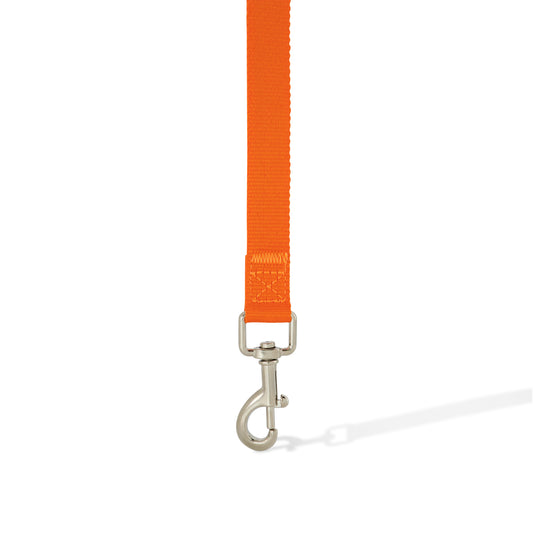 Polyester Dog Leash - 25 mm x 1300 mm