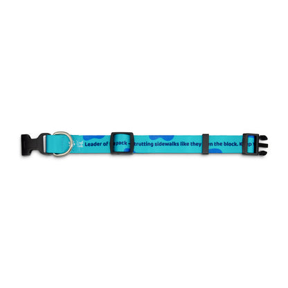 Sublimated Dog Collar