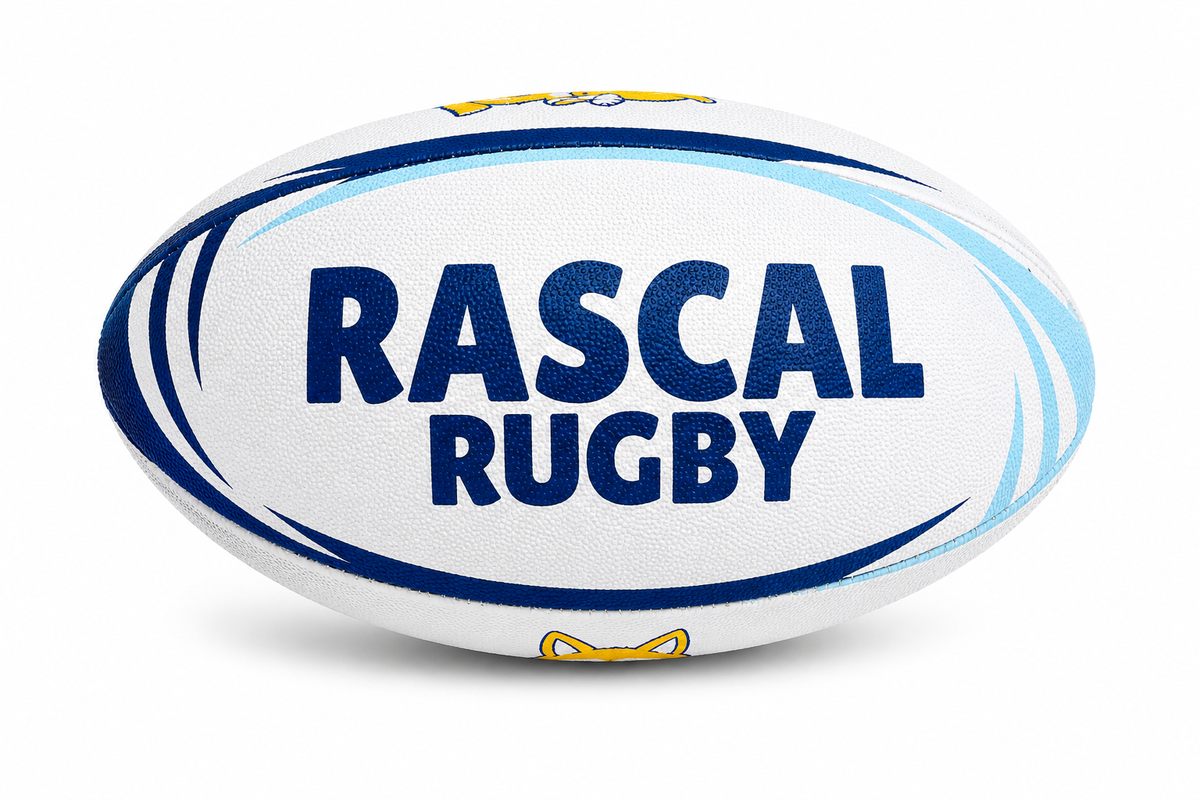 Mini Rugby Balls - 10 inch