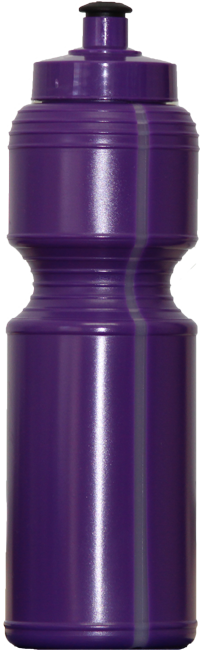 Clear View Strip Water Bottles - 800ml