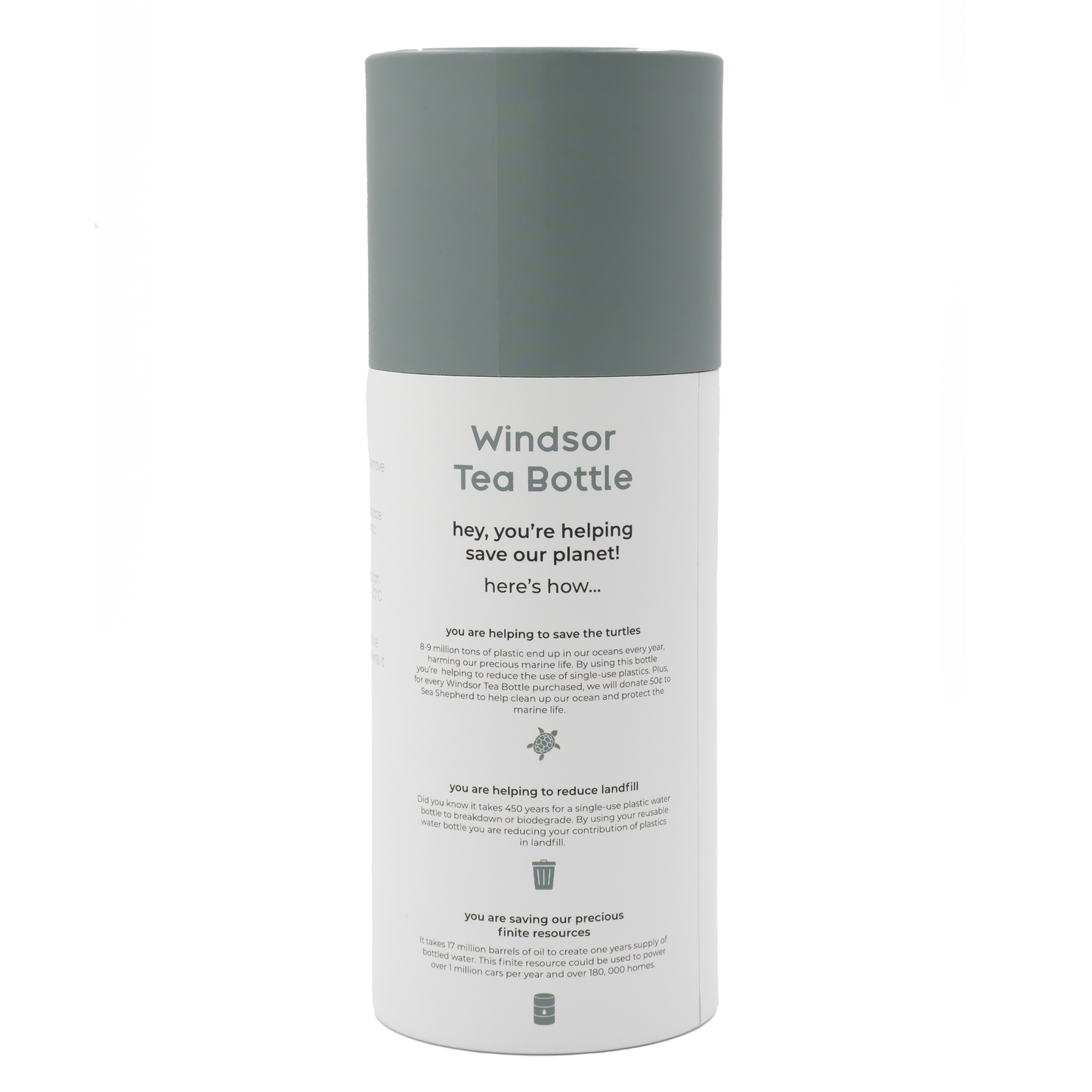 Windsor 1L Tea Infuser Bottle