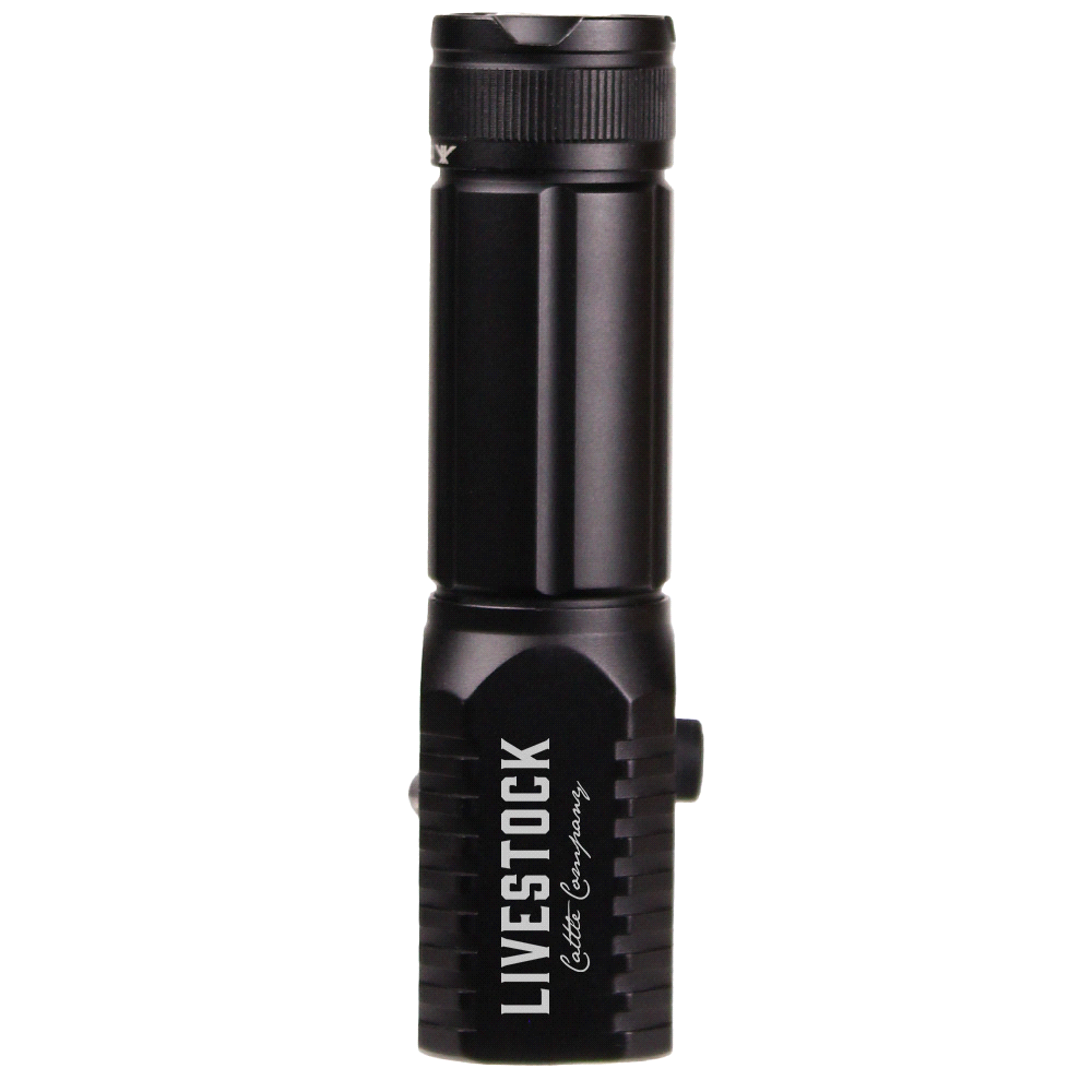 Trekk 3W LED Torch