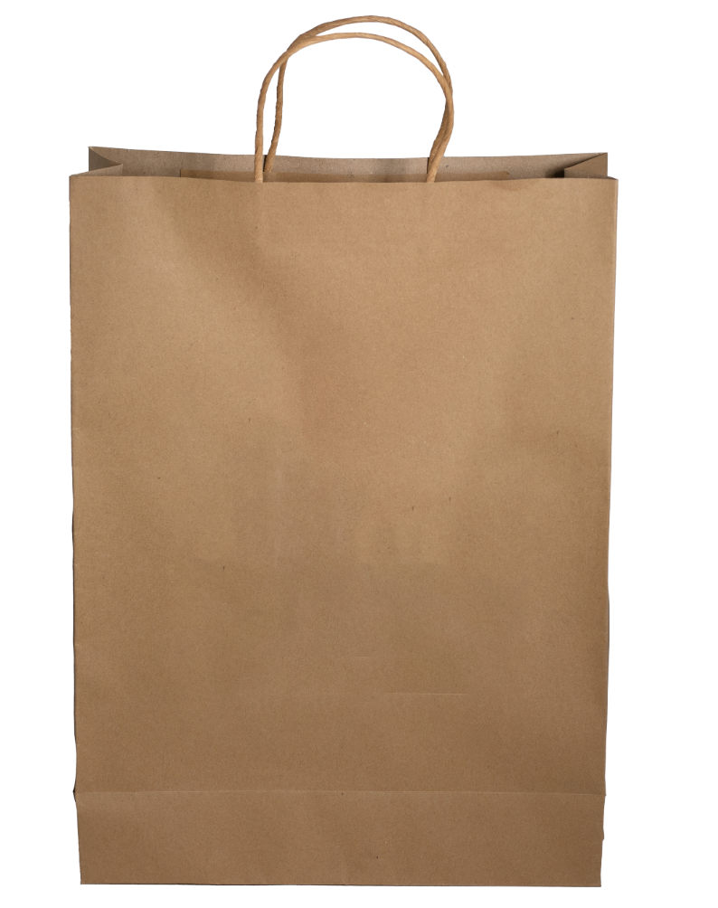 Paper Shopping Bag
