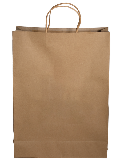 Paper Shopping Bag